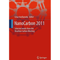 NanoCarbon 2011: Selected works from the Brazilian Carbon Meeting [Paperback]