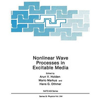 Nonlinear Wave Processes in Excitable Media [Hardcover]