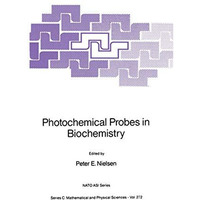 Photochemical Probes in Biochemistry [Paperback]