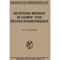 Richtiges Messen in Dampf- und Feuerungsbetrieben [Paperback]