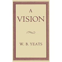 A Vision [Paperback]