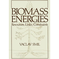 Biomass Energies: Resources, Links, Constraints [Paperback]