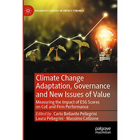 Climate Change Adaptation, Governance and New Issues of Value: Measuring the Imp [Paperback]