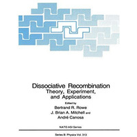 Dissociative Recombination: Theory, Experiment, and Applications [Paperback]