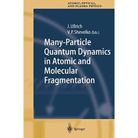 Many-Particle Quantum Dynamics in Atomic and Molecular Fragmentation [Paperback]