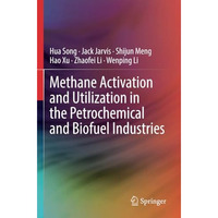 Methane Activation and Utilization in the Petrochemical and Biofuel Industries [Paperback]