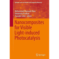 Nanocomposites for Visible Light-induced Photocatalysis [Hardcover]