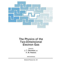 The Physics of the Two-Dimensional Electron Gas [Paperback]