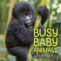 Busy Baby Animals [Board book]