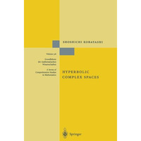 Hyperbolic Complex Spaces [Paperback]