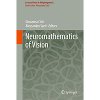 Neuromathematics of Vision [Hardcover]