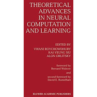 Theoretical Advances in Neural Computation and Learning [Paperback]