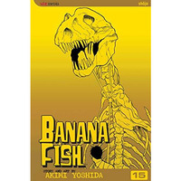 Banana Fish, Vol. 15 [Paperback]