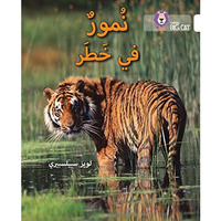 Collins Big Cat Arabic  Tigers in Danger: Level 10 [Paperback]