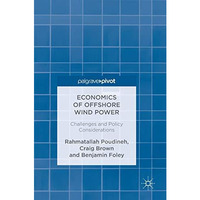 Economics of Offshore Wind Power: Challenges and Policy Considerations [Hardcover]