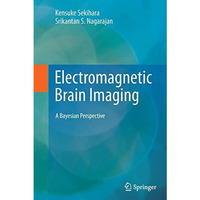 Electromagnetic Brain Imaging: A Bayesian Perspective [Paperback]