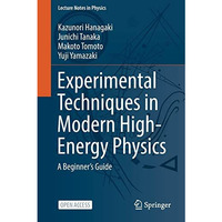 Experimental Techniques in Modern High-Energy Physics: A Beginners Guide [Paperback]