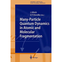 Many-Particle Quantum Dynamics in Atomic and Molecular Fragmentation [Hardcover]