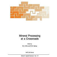 Mineral Processing at a Crossroads: Problems and Prospects [Hardcover]