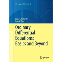 Ordinary Differential Equations: Basics and Beyond [Paperback]