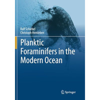 Planktic Foraminifers in the Modern Ocean [Paperback]