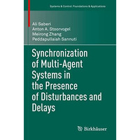 Synchronization of Multi-Agent Systems in the Presence of Disturbances and Delay [Paperback]