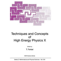 Techniques and Concepts of High Energy Physics X [Hardcover]