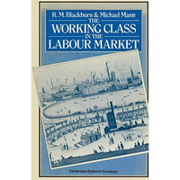 The Working Class in the Labour Market [Paperback]