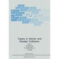 Topics in Atomic and Nuclear Collisions [Paperback]