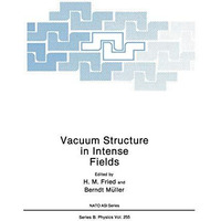 Vacuum Structure in Intense Fields [Paperback]