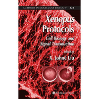 Xenopus Protocols: Cell Biology and Signal Transduction [Hardcover]