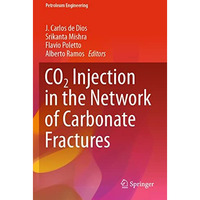 CO2 Injection in the Network of Carbonate Fractures [Paperback]