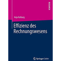 Effizienz des Rechnungswesens [Paperback]