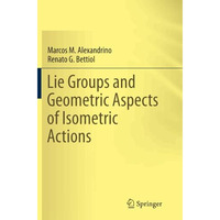 Lie Groups and Geometric Aspects of Isometric Actions [Paperback]