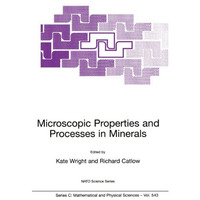 Microscopic Properties and Processes in Minerals [Paperback]