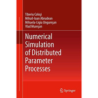 Numerical Simulation of Distributed Parameter Processes [Paperback]