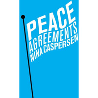 Peace Agreements: Finding Solutions to Intra-state Conflicts [Hardcover]