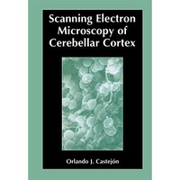 Scanning Electron Microscopy of Cerebellar Cortex [Paperback]