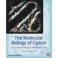 The Molecular Biology of Cancer: A Bridge from Bench to Bedside [Hardcover]