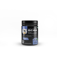 IRON LIFTERS BCAA Essentials Supplement Blueberry Flavor (45 Servings, 315 gm)