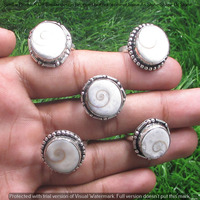 Shiva Eye Shell 20 Piece Wholesale Ring Lots 925 Sterling Silver Ring NRL-1860