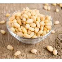 Nirav Pine Nuts (2 oz bag)