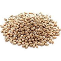 Barley Whole (Pot Barley) (2 lbs bag)