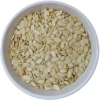 Char Magaz - Shelled Melon Seeds (3.5 oz pack)