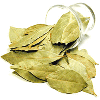 Nirav Bay Leaves (Tejpata) (1 oz bag)