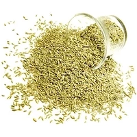 Nirav Fennel Seeds (Lucknow) (7 oz bag)