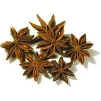 Nirav Star Anise (badiyan) (3.5 oz bag)