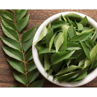 Fresh Curry Leaves (3/4 oz bag)