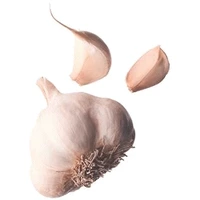 Fresh Garlic (1 lb bag)