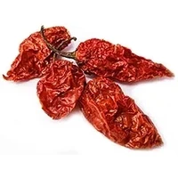 Ghost Chili Peppers (Bhut Jalokia) - Hottest Peppers in the World! (1/2 oz bag)